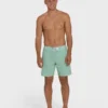 73 Pro 18″ Boardshorts