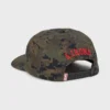 A.I. Bio Wave Snapback