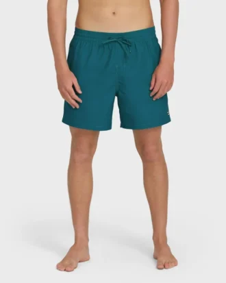 All Day Layback 16″ Trunks