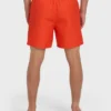All Day Layback 16″ Trunks