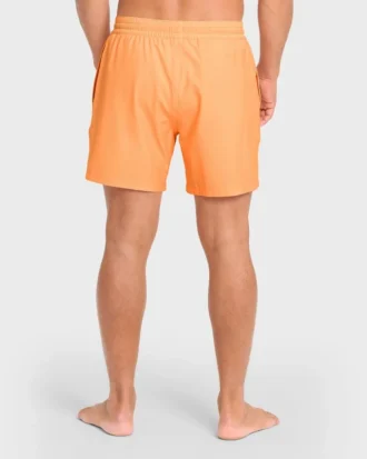 All Day Layback 16″ Trunks