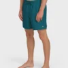 All Day Layback 16″ Trunks