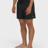 All Day Layback 16″ Trunks