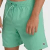 All Day Layback Trunks