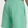 All Day Layback Trunks