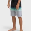 All Day Stripe 20″ Pro Boardshorts