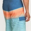 All Day Stripe Pro Performance 20″ Boardshorts