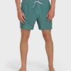 Dbah Panel Layback 16″ Trunks