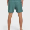 Dbah Panel Layback 16″ Trunks