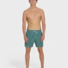 Dbah Panel Layback 16″ Trunks