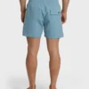 Dbah Panel Layback Trunks