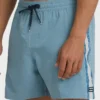 Dbah Panel Layback Trunks