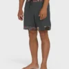 Glide Garage Pro 18″ Boardshorts