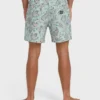 Good Times Layback 16″ Trunks