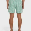 Good Times Layback 16″ Trunks