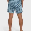 Good Times Layback 16″ Trunks