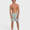 Good Times Layback 16″ Trunks