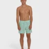Good Times Layback 16″ Trunks