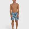 Good Times Layback 16″ Trunks