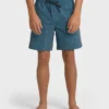 Good Times Layback Trunks