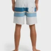 Good Times Layback Trunks