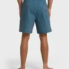 Good Times Layback Trunks