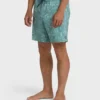 Good Times Layback Trunks