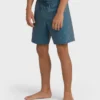 Good Times Layback Trunks