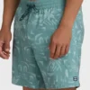 Good Times Layback Trunks