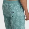 Good Times Layback Trunks