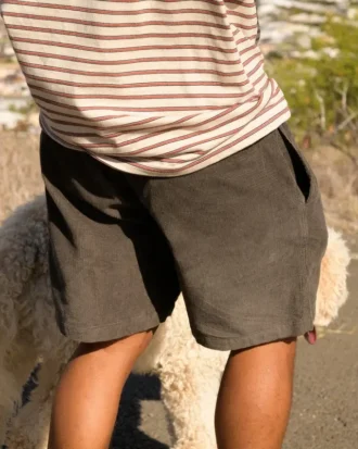 Larry Layback 19″ Cord Shorts