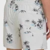 Lineup Layback 16″ Trunks