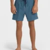 Lineup Solid Layback Trunks