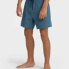 Lineup Solid Layback Trunks