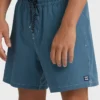 Lineup Solid Layback Trunks