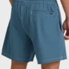 Lineup Solid Layback Trunks