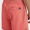 Lineup Solid Layback Trunks