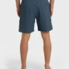 Reform Layback Trunks