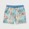 Sundays Laybacks 17″ Trunks