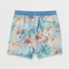 Sundays Laybacks 17″ Trunks
