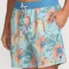 Sundays Laybacks 17″ Trunks