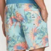 Sundays Laybacks 17″ Trunks