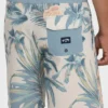 Sundays Lo Tide 18″ Boardshorts