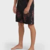 Sundays Pro 19″ Boardshorts